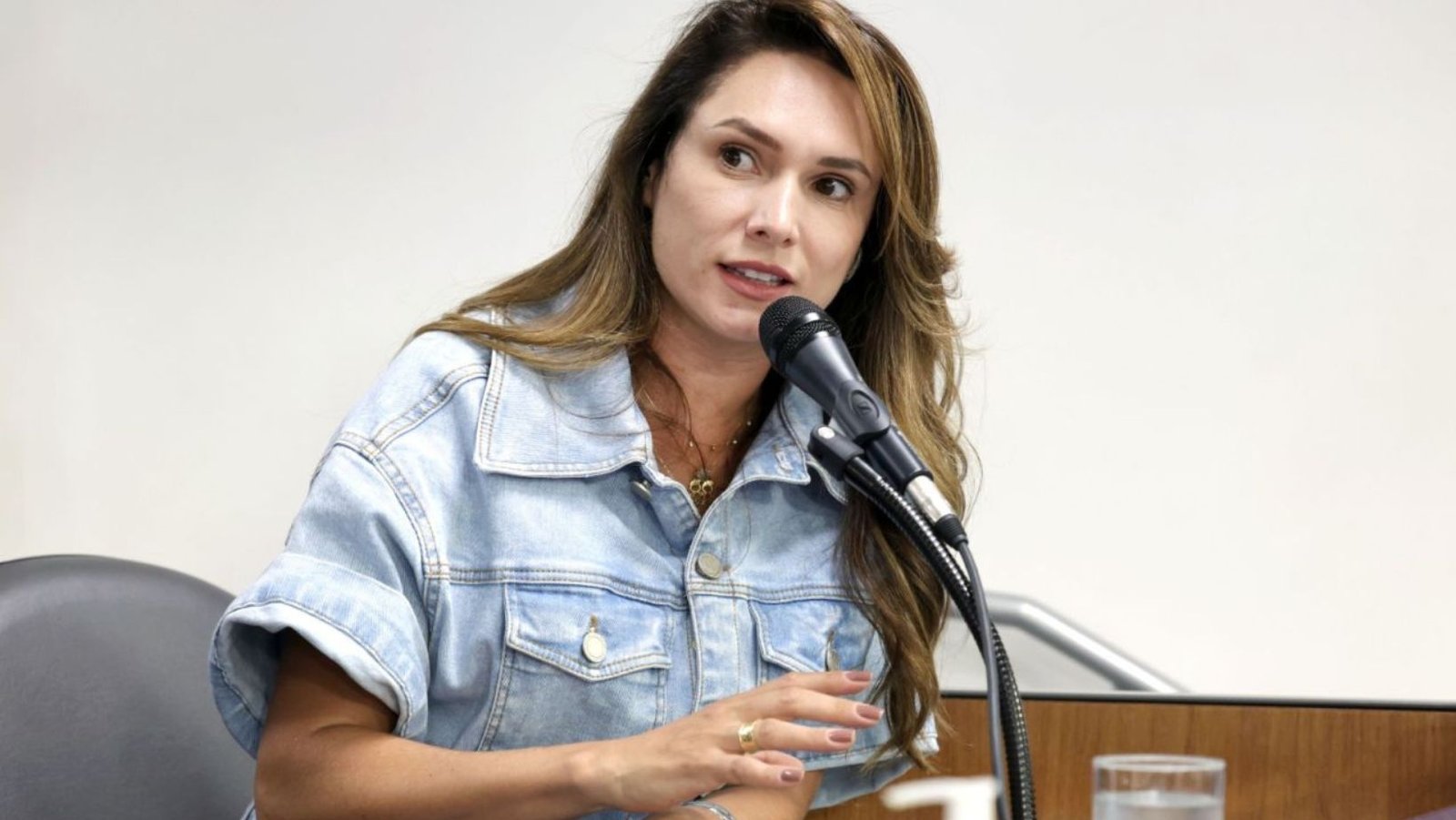 Deputada Lud Falcão aciona TCE contra edital de concessão da BR-365